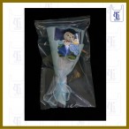 PE ZIP LOCK BAGS 0.05MM X 10 X 16(1000PCS/CTN)