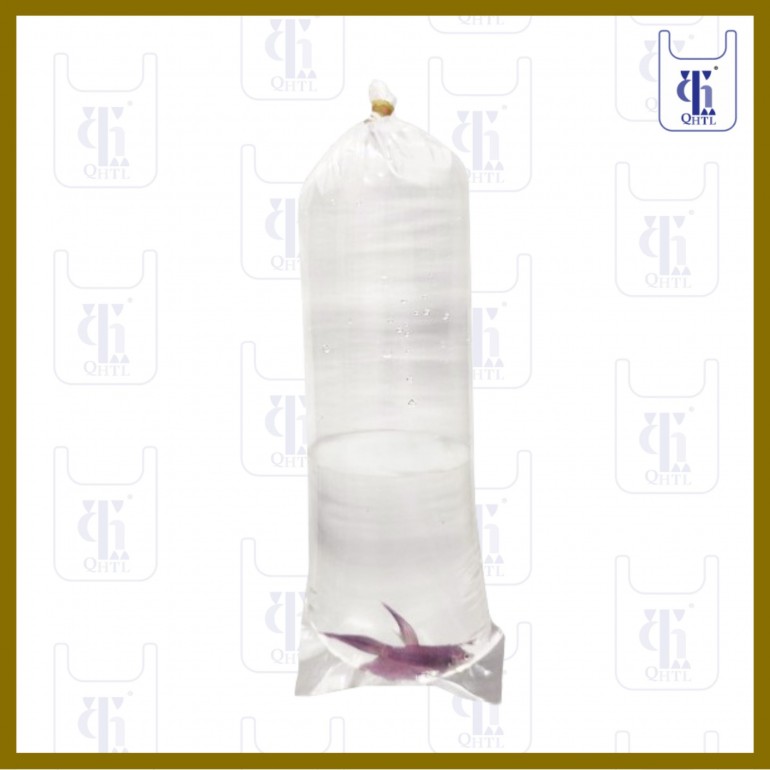FISH BAGS 0.06MM X 16 X 32 (SC)(10KG)