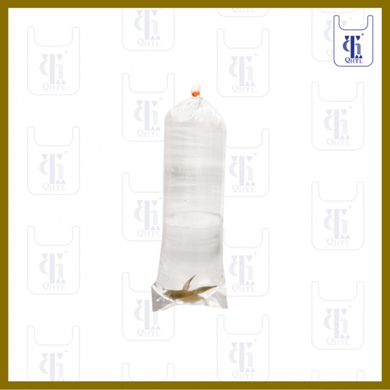 FISH BAGS 0.06MM X 11 X 30 (SC)(10KG)