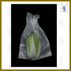 HD BAGS 0.03MM X 15 X 20(10LBS)
